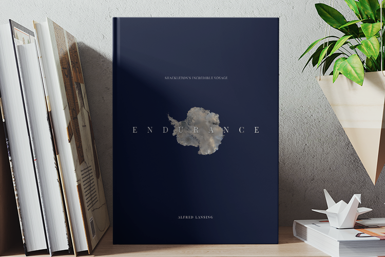 Endurance Book Cover