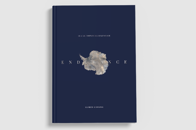 Endurance Book Cover